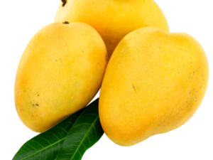 Yellow Keo Mango